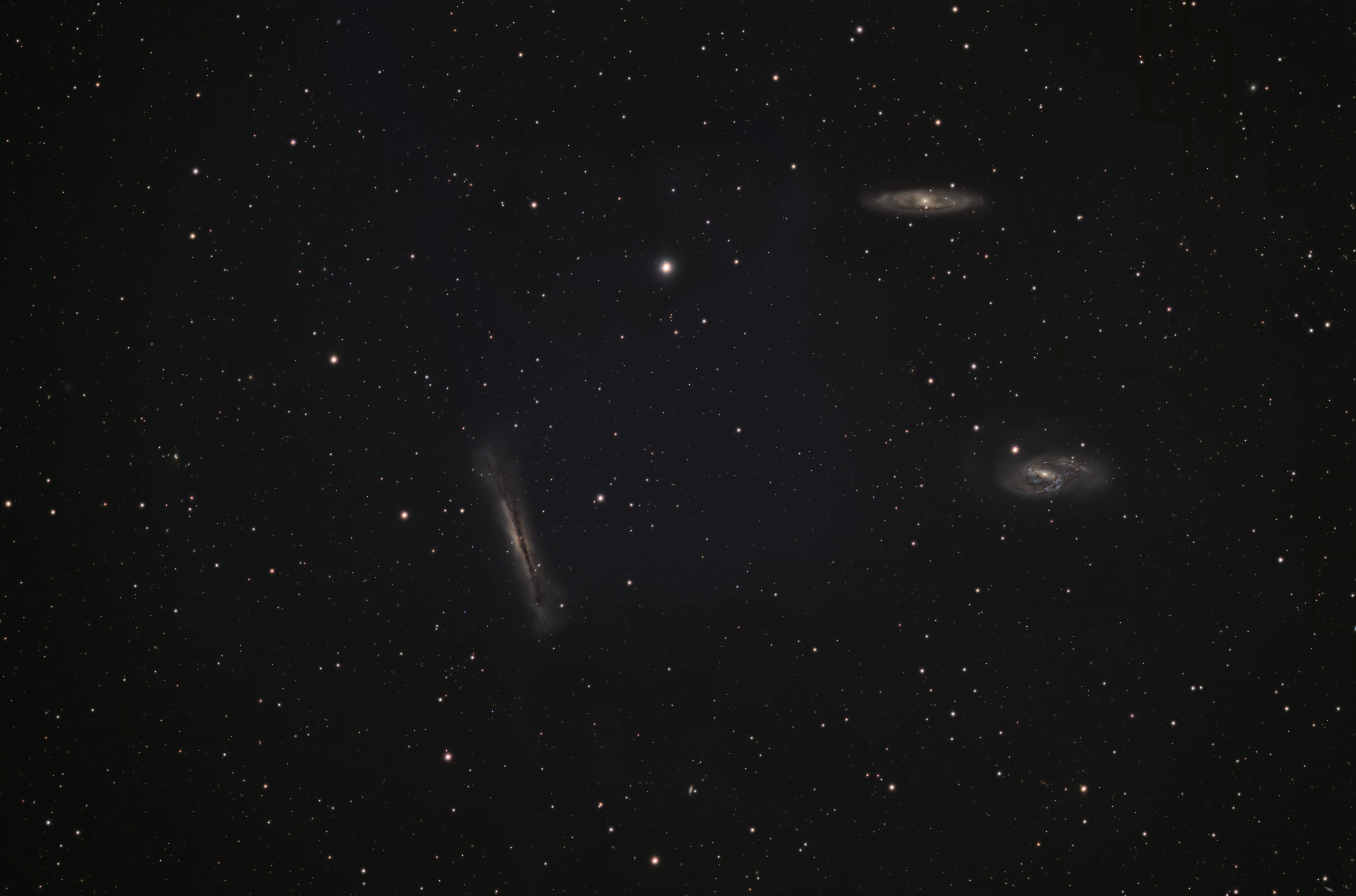 Leo Triplet (M65, M66, NGC 3628)